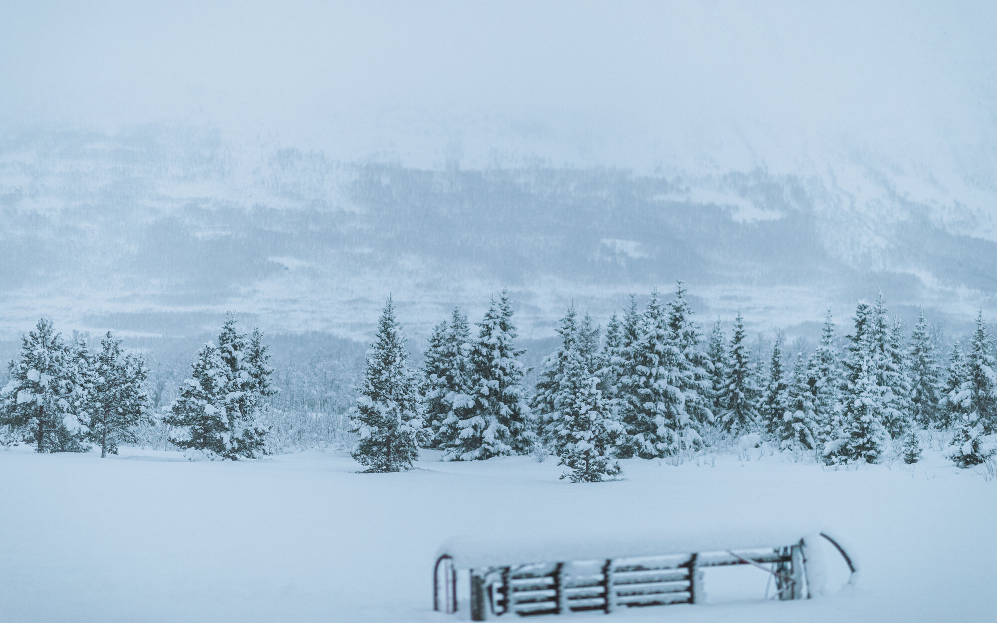 Portrait of a woman by a window in diffused natural light